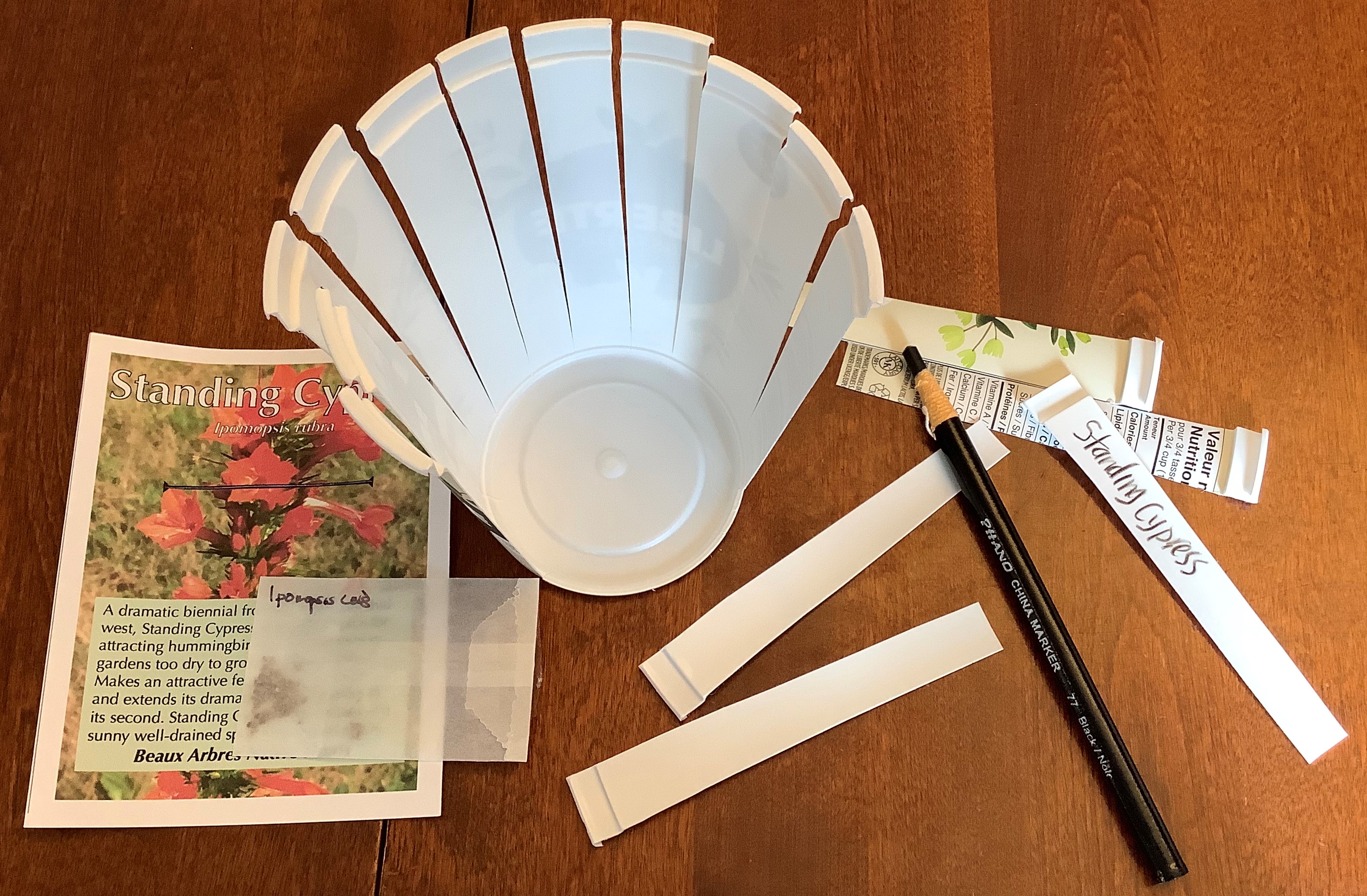 Two-and-half hour pollinator garden – The Corner Pollinator Garden and ...